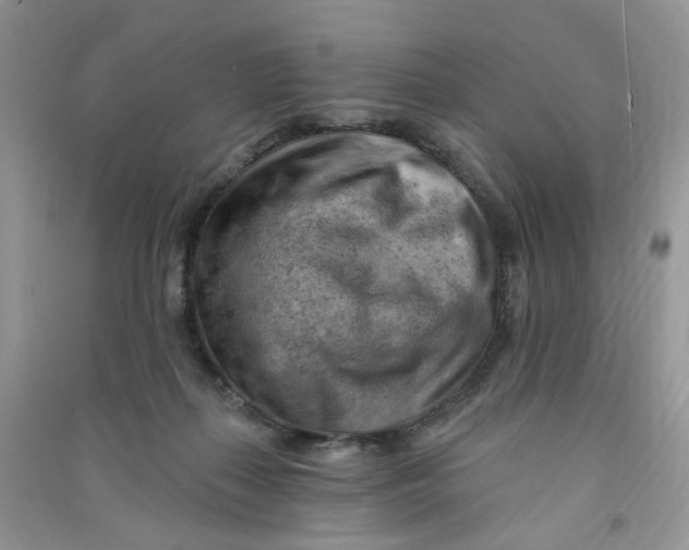 X0000090630267200708141440