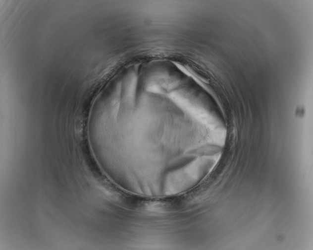 X0000090630268200708141440