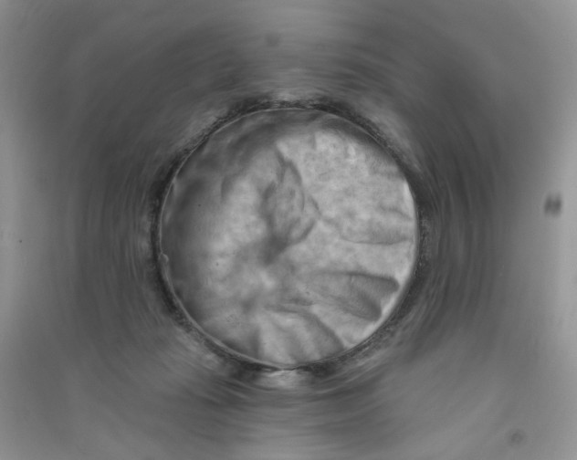 X0000090630269200708141440