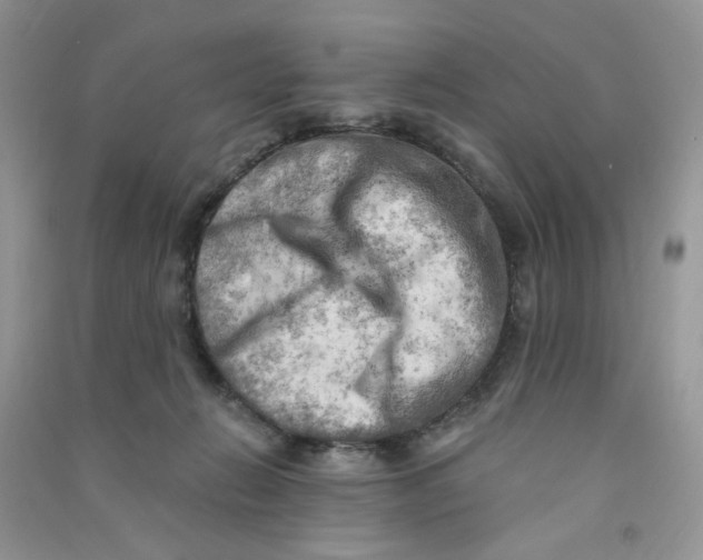 X0000090630270200708141440