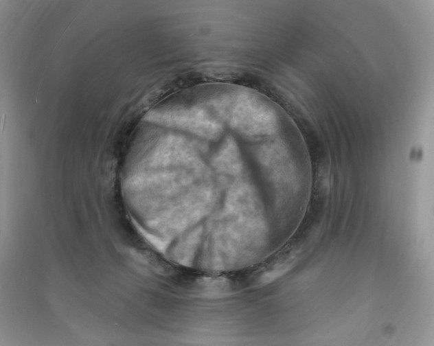 X0000090630271200708141440
