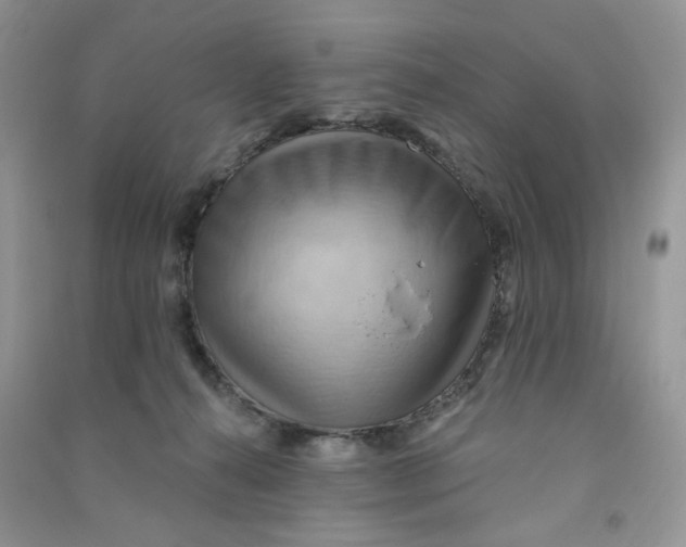 X0000090630272200708141440