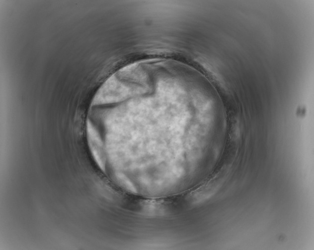 X0000090630273200708141440