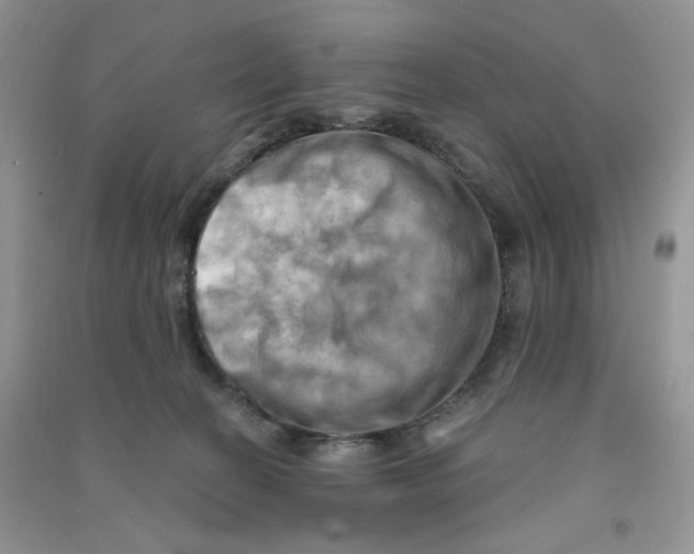 X0000090630274200708141440