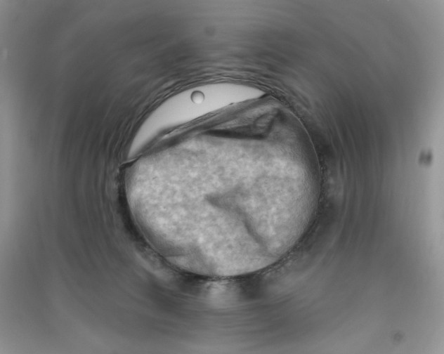 X0000090630275200708141440