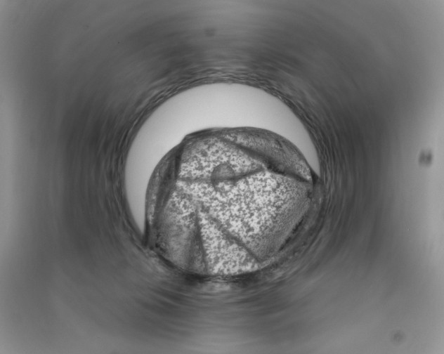 X0000090630276200708141440