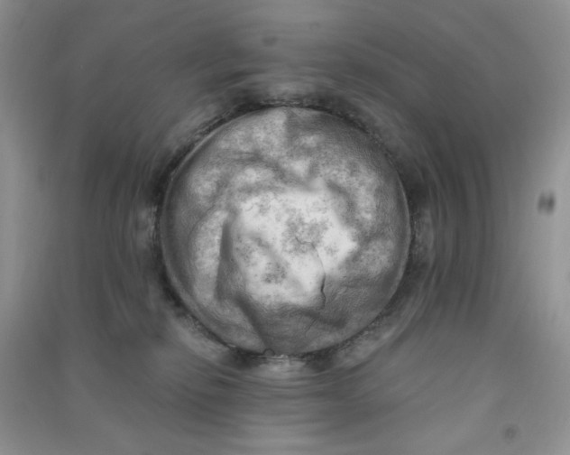 X0000090630278200708141440