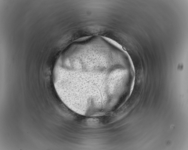 X0000090630279200708141440