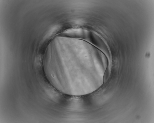 X0000090630280200708141440