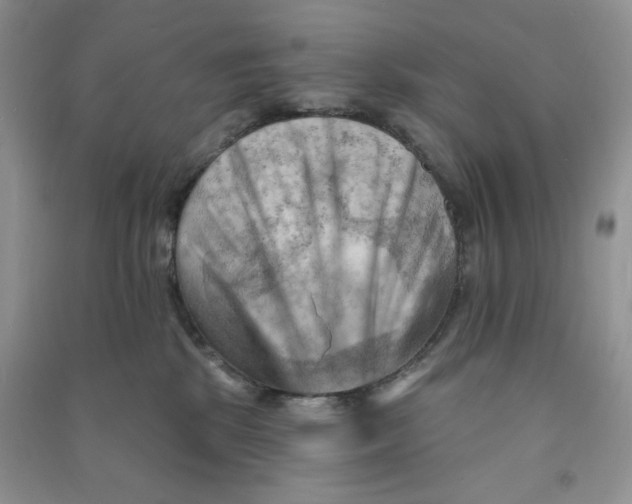 X0000090630281200708141440