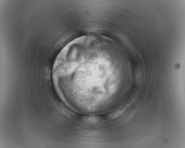 X0000090630282200708141441