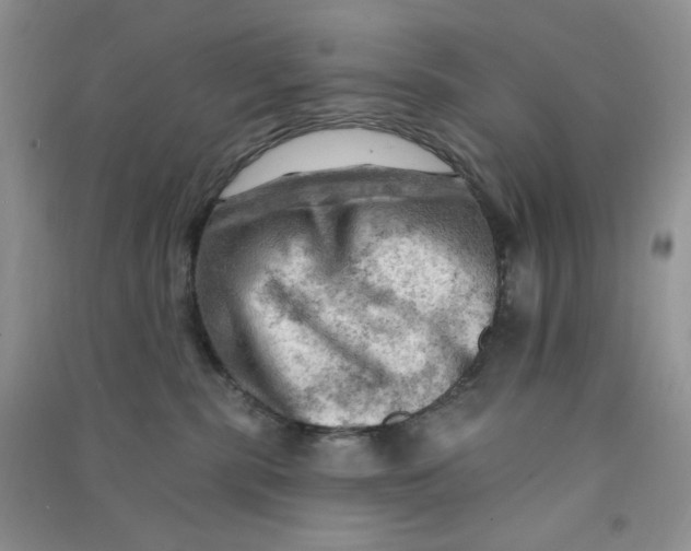 X0000090630283200708141441