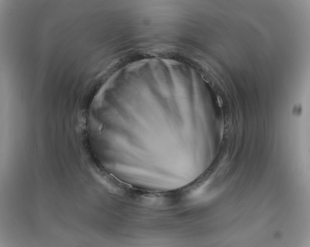 X0000090630284200708141441