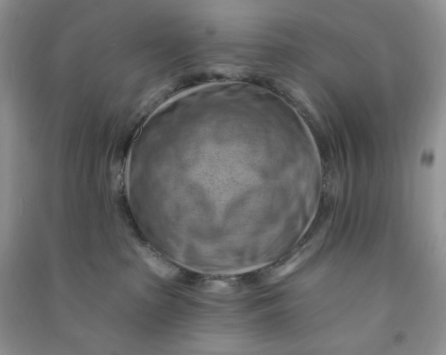 X0000090630285200708141441
