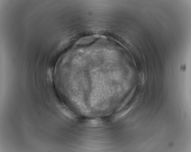 X0000090630286200708141441