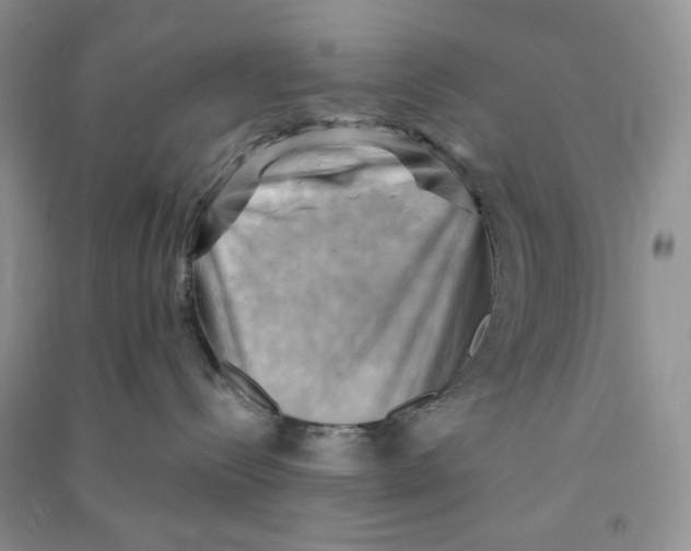 X0000090630288200708141441