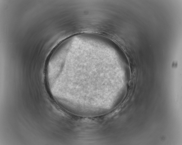 X0000090630290200708141440