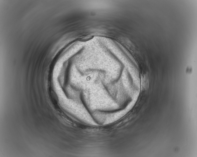 X0000090630291200708141440