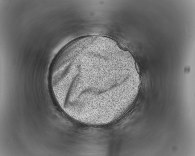 X0000090630292200708141440
