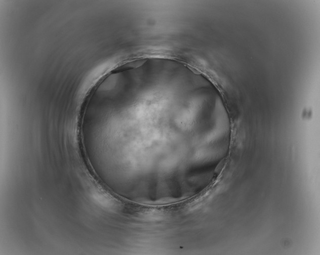 X0000090630293200708141440