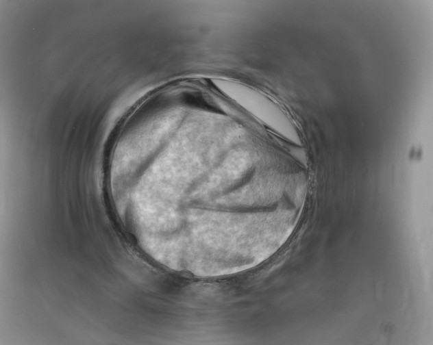 X0000090630294200708141440