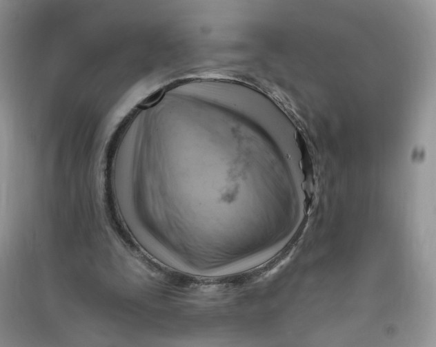 X0000090630295200708141440