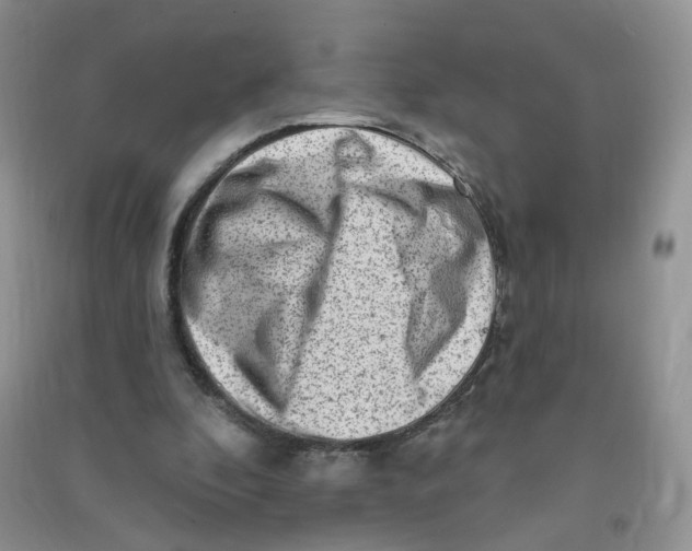 X0000090630296200708141440