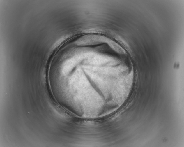 X0000090630298200708141440