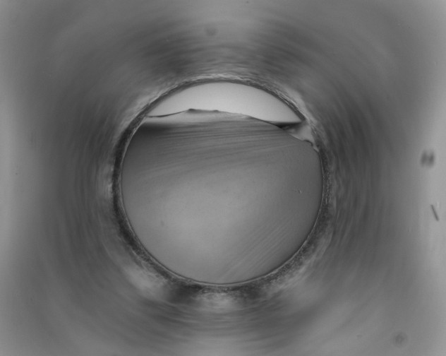 X0000090630299200708141440