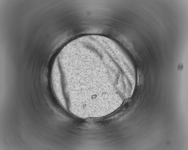 X0000090630300200708141440