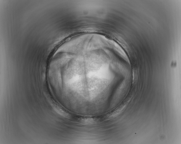 X0000090630301200708141440