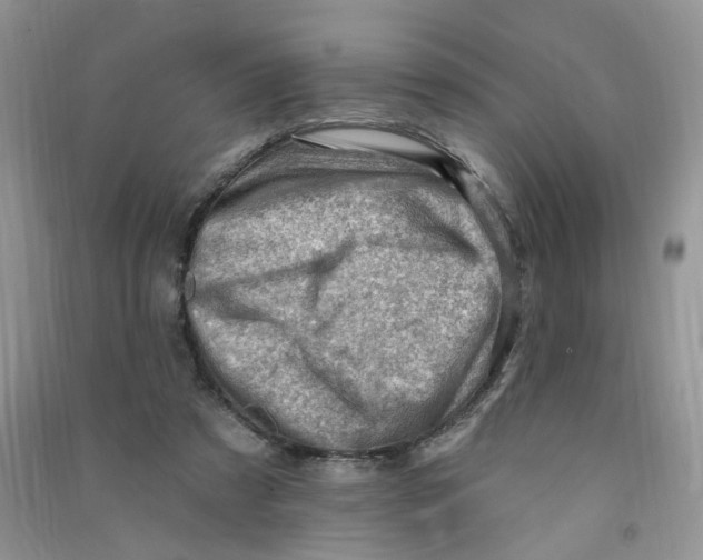 X0000090630305200708141440