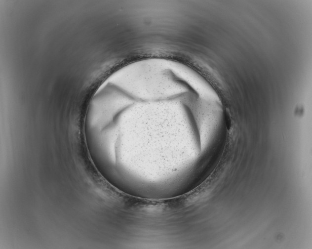 X0000090630306200708141440