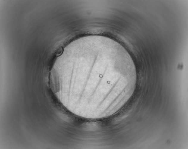 X0000090630307200708141440