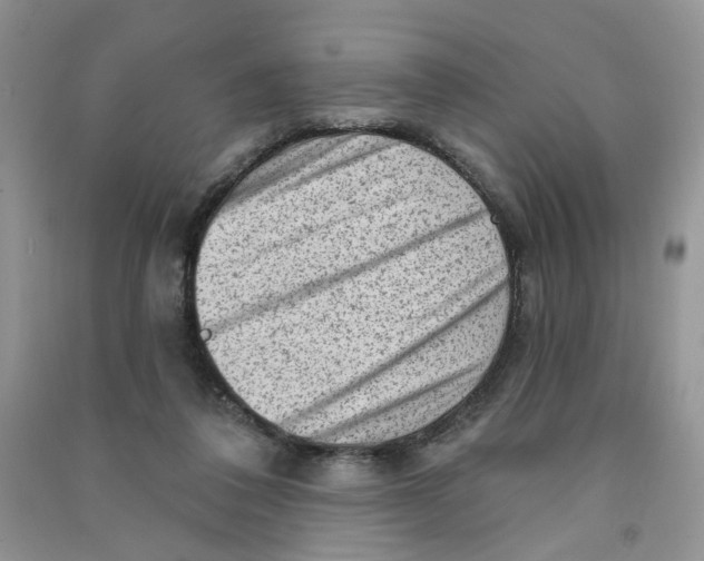 X0000090630308200708141440
