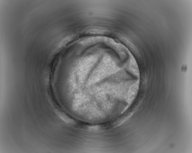 X0000090630309200708141440