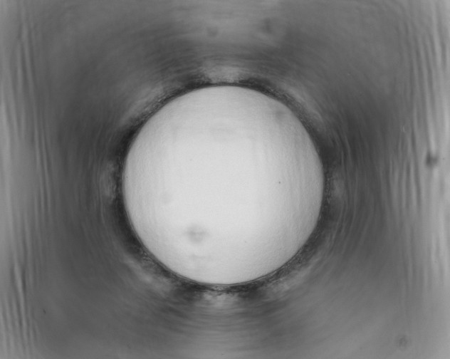 X0000090630311200708141440