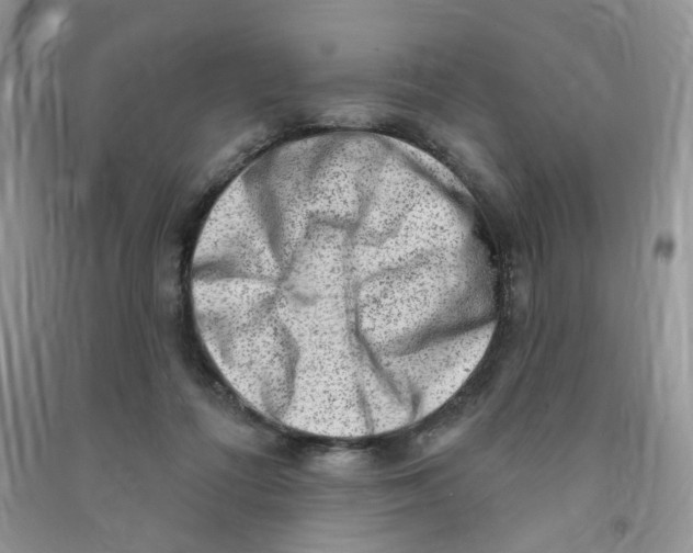 X0000090630312200708141440