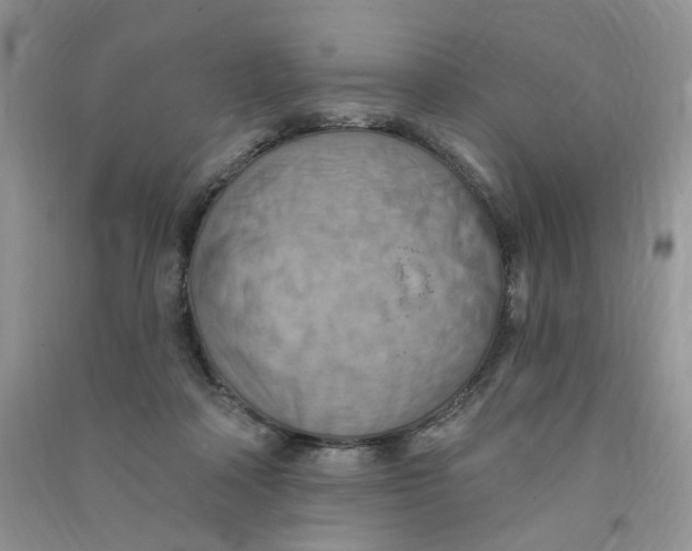 X0000090630314200708141440