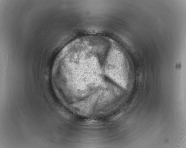 X0000090630315200708141440