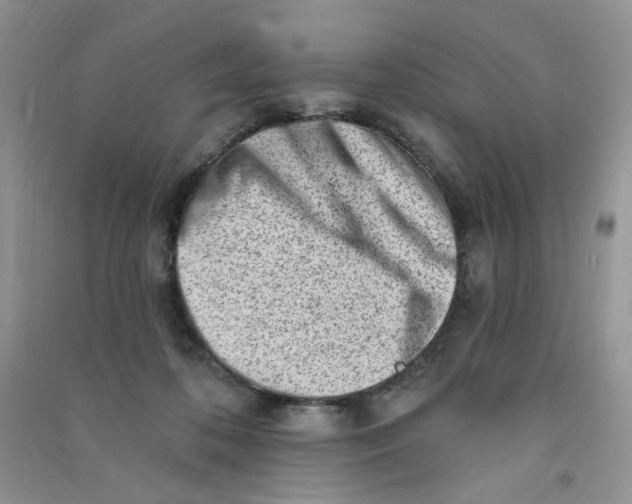X0000090630316200708141440