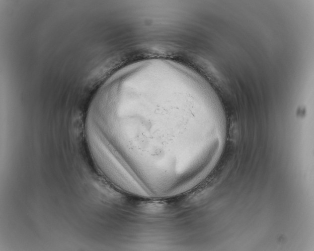 X0000090630318200708141439
