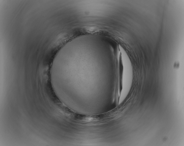 X0000090630319200708141439