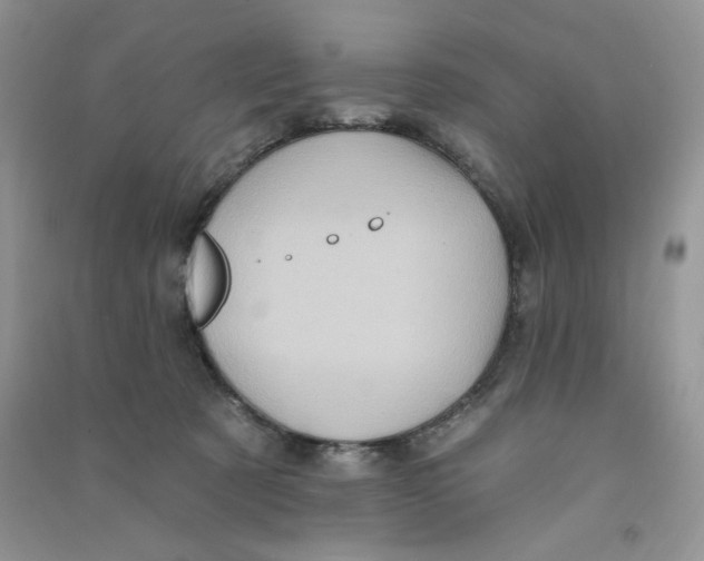X0000090630321200708141439