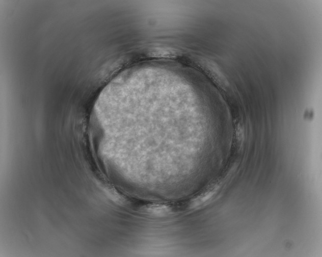 X0000090630322200708141439