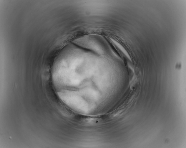 X0000090630323200708141439