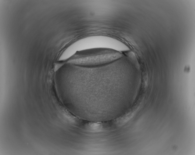 X0000090630325200708141439
