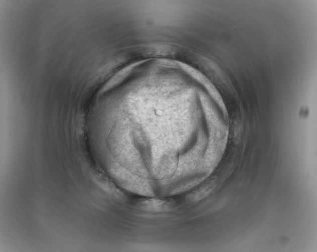 X0000090630326200708141439