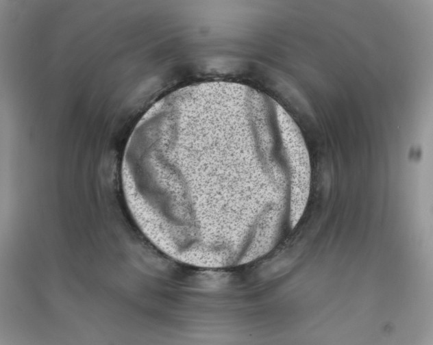 X0000090630328200708141439