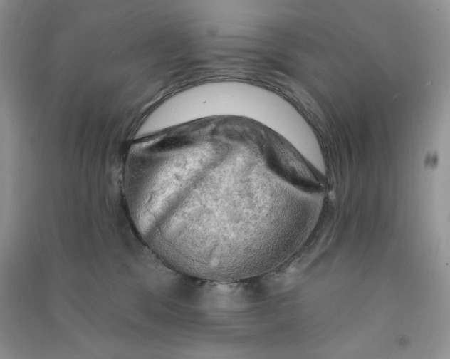 X0000090630329200708141439